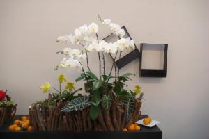 Artistic Display with Phalaenopsis, Paphiopedilum and Aroids