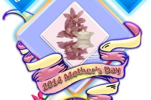 Celebrating 2014 Mother's Day with Queensland Orchid Society