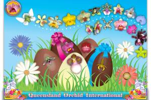 Queensland Orchid International Happy Easter