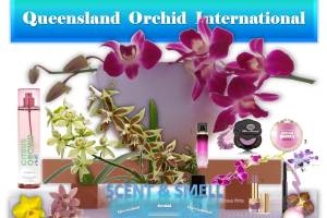 The Scents and Smells of Orchids