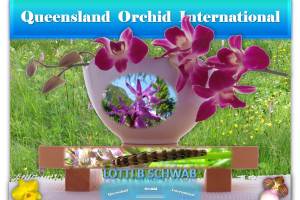 Lotti B Schwab at Queensland Orchid International